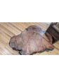 Redwood Burl Coffee Table